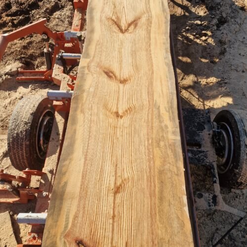 Farfadets Wood, plateau de bois sur la scierie mobile